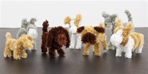 pipe cleaner pets