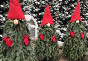 Gnomes2